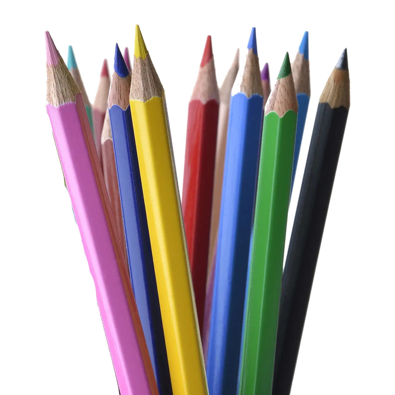 colored pencils, XMPIE, XM Pie, Xerox, Pear Tree  Enterprises