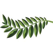 Native Woodlands, PrintReleaf, Pear Tree  Enterprises
