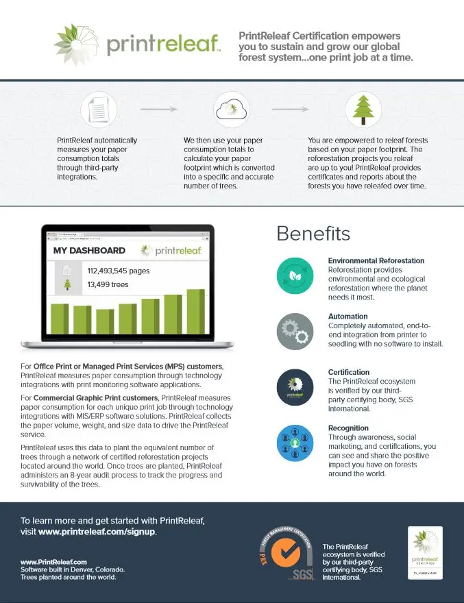 One Page Summary Flyer, PrintReleaf, Pear Tree  Enterprises